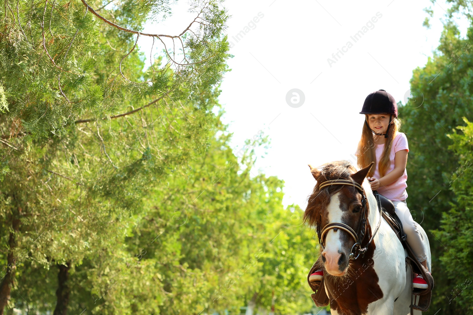 Photo of Cute little girl riding pony in green park