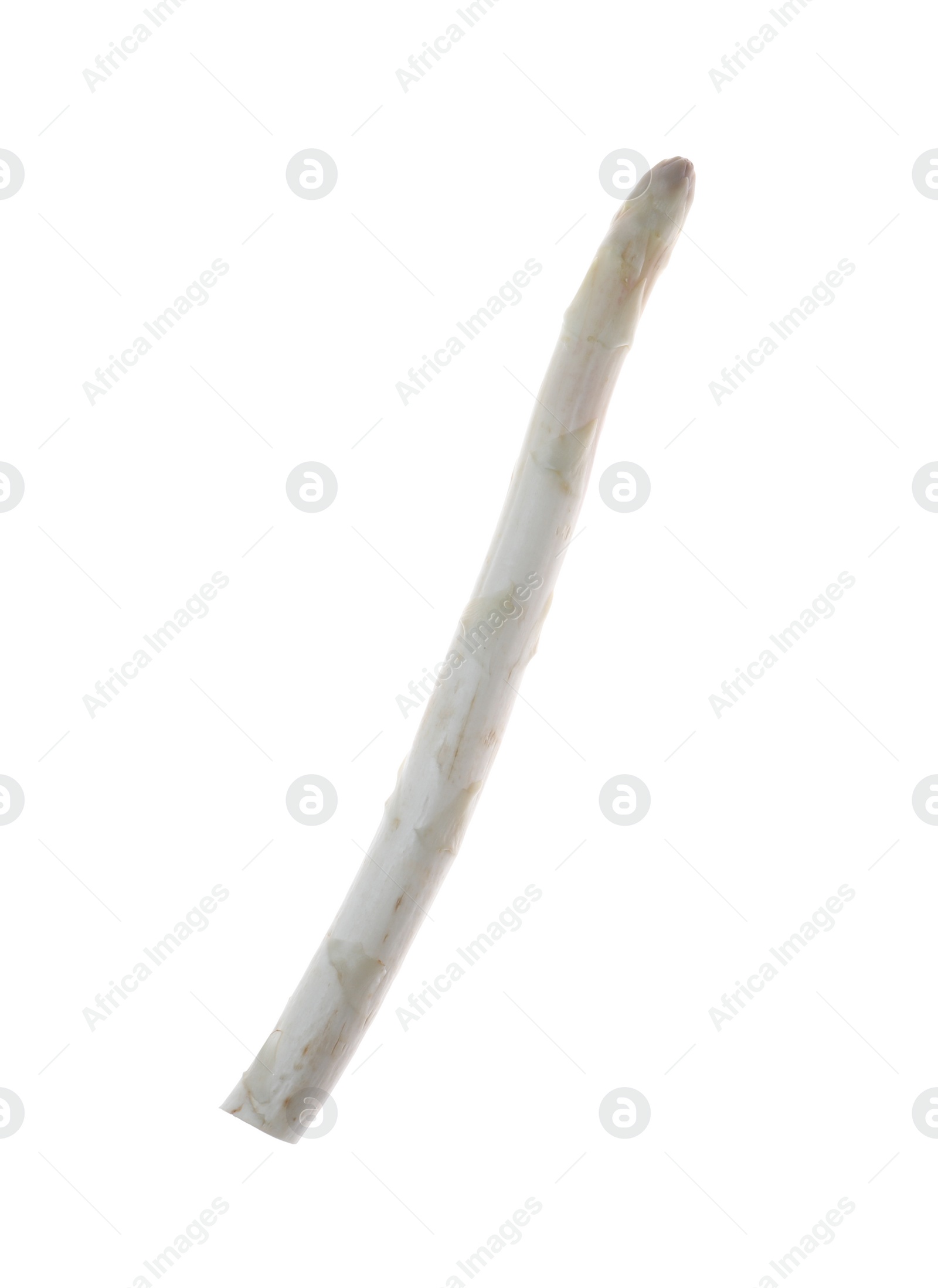 Photo of Fresh ripe raw asparagus isolated on white