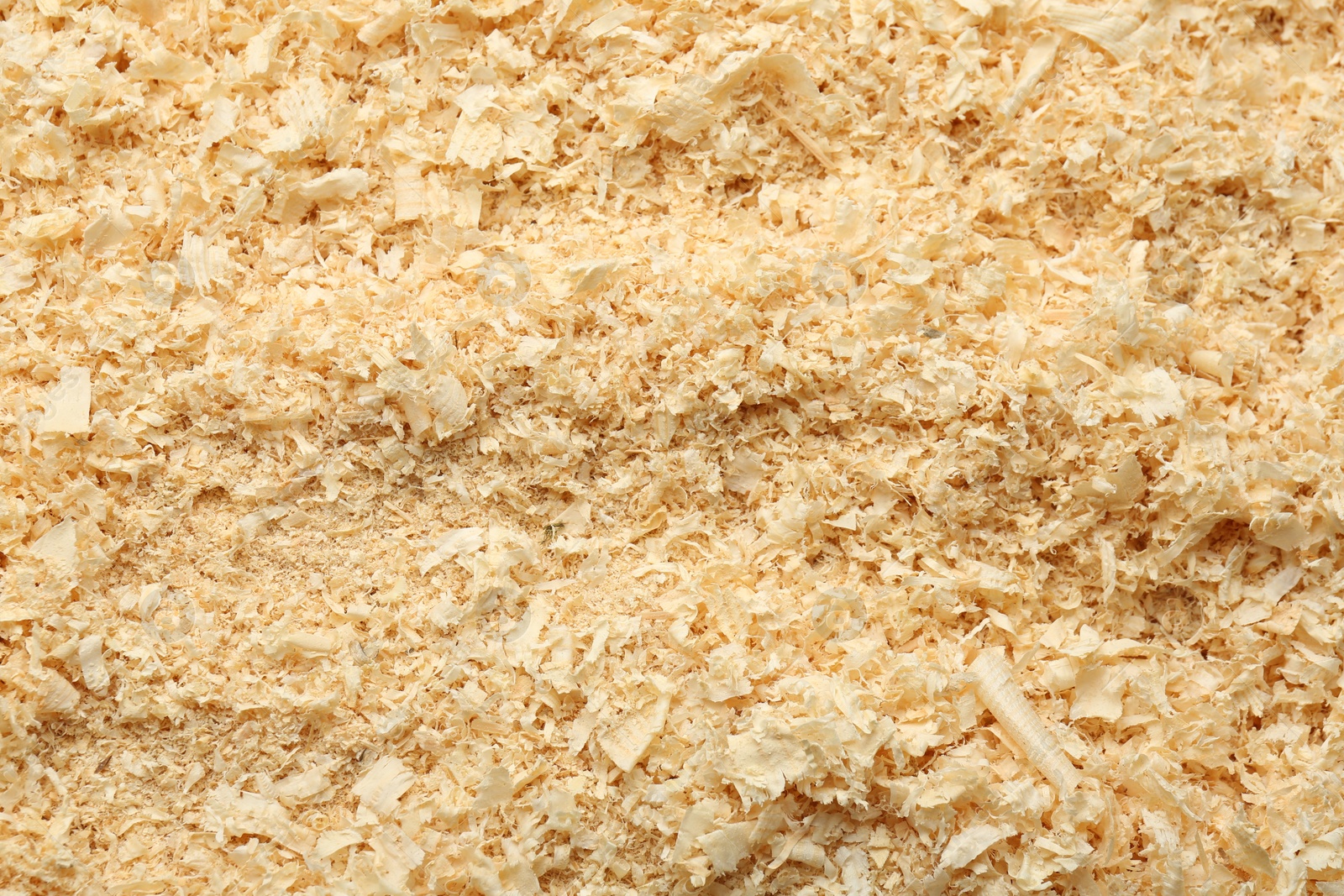 Photo of Dry natural sawdust as background, top view