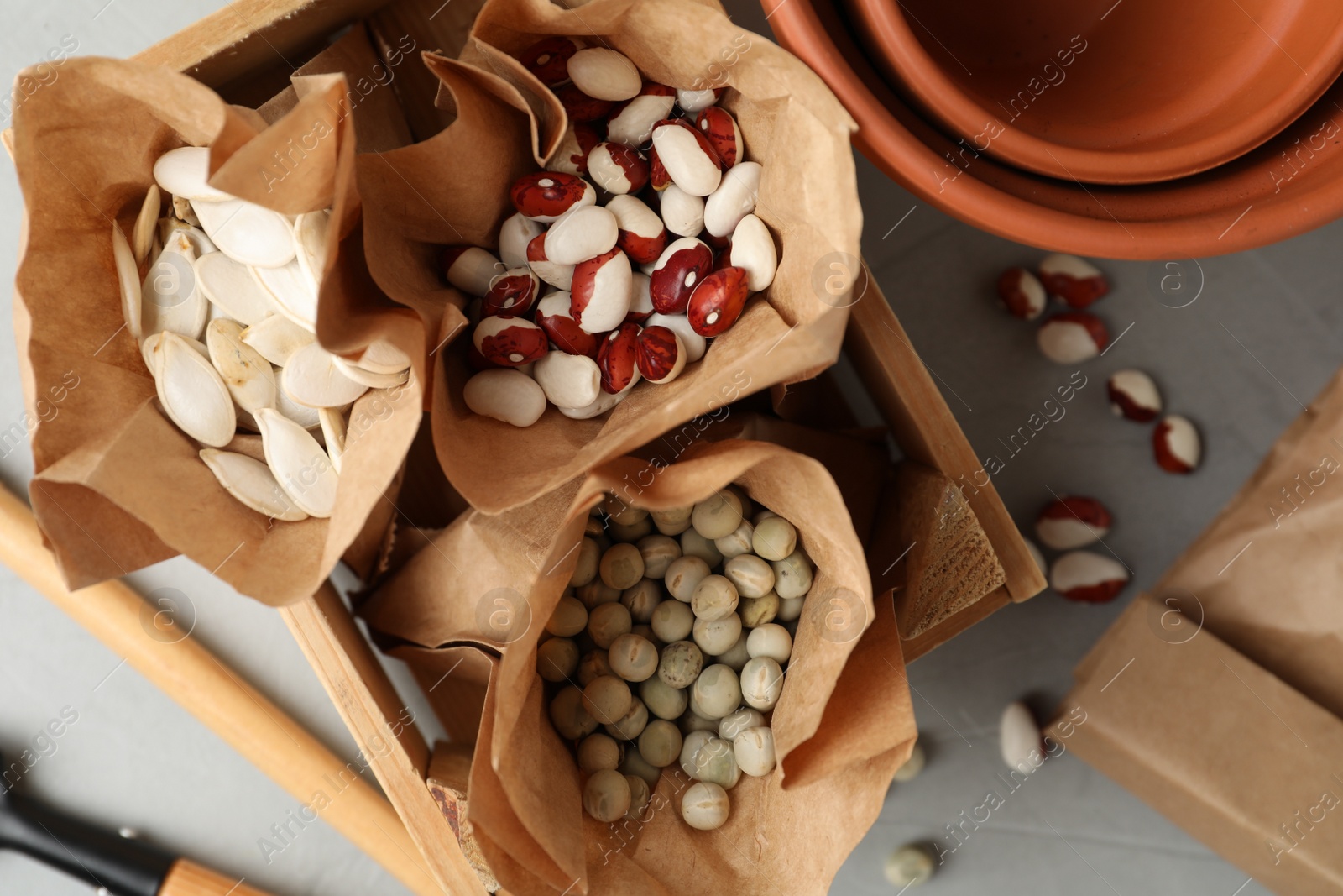 Photo of Different vegetable seeds on light grey table, flat lay