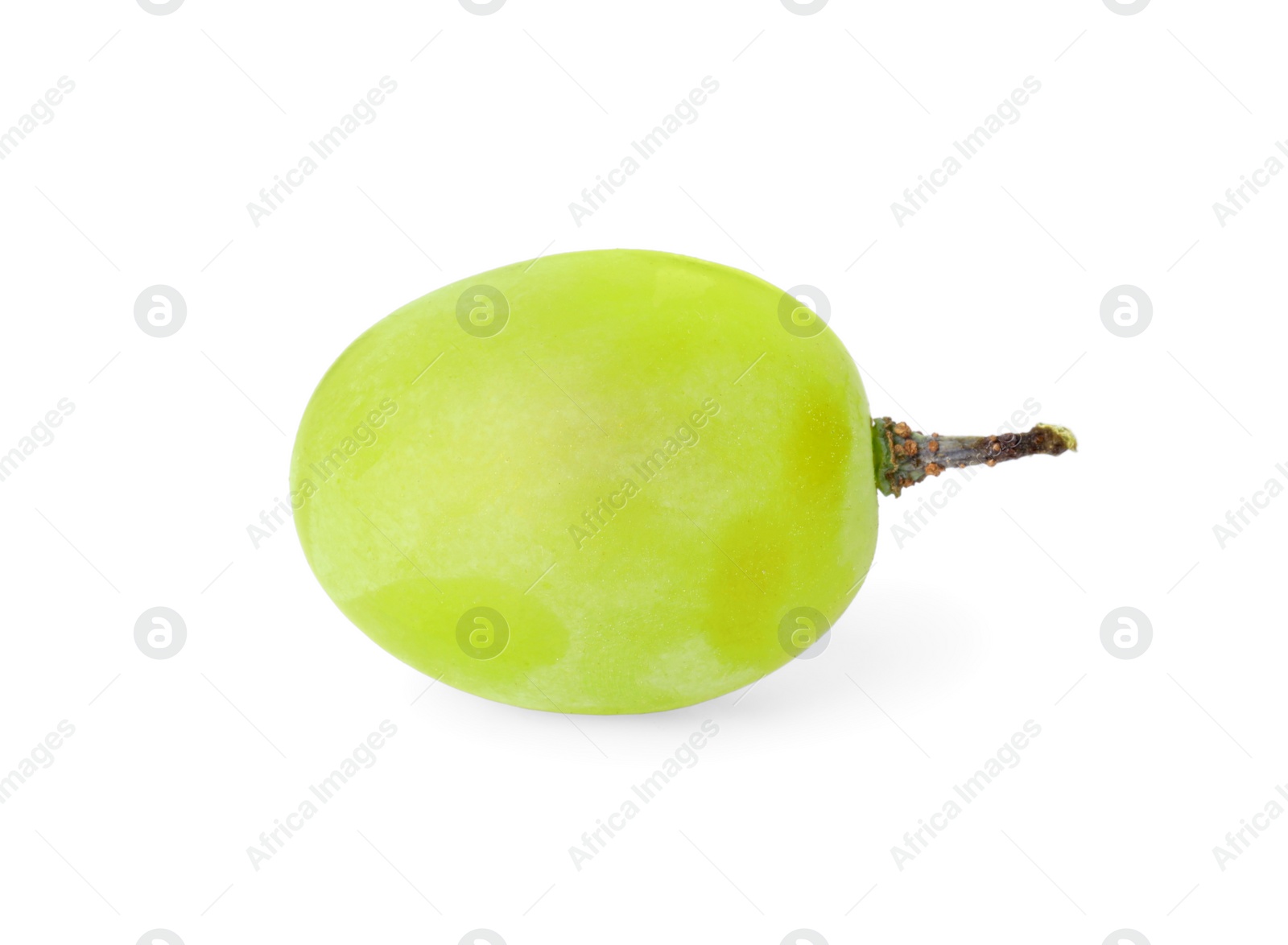 Photo of One ripe green grape isolated on white