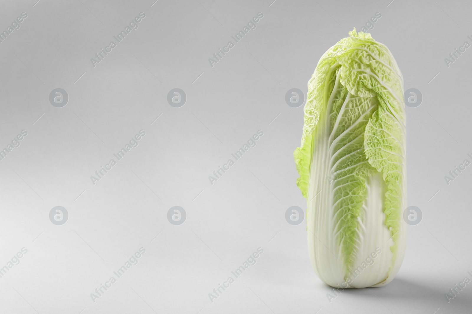 Photo of Fresh ripe Chinese cabbage on light grey background. Space for text