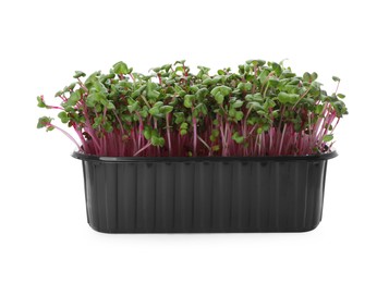 Photo of Fresh radish microgreens in plastic container on white background