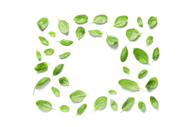 Fresh green basil leaves on white background, top view. Space for text