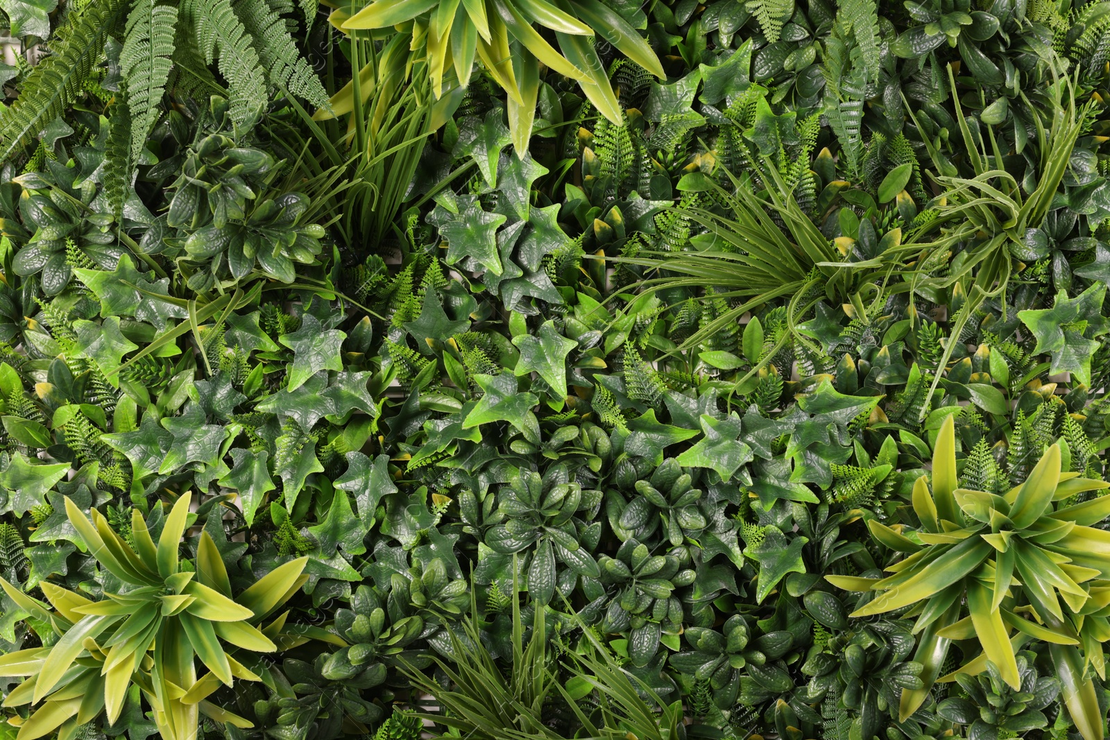 Photo of Green artificial plants as background, top view