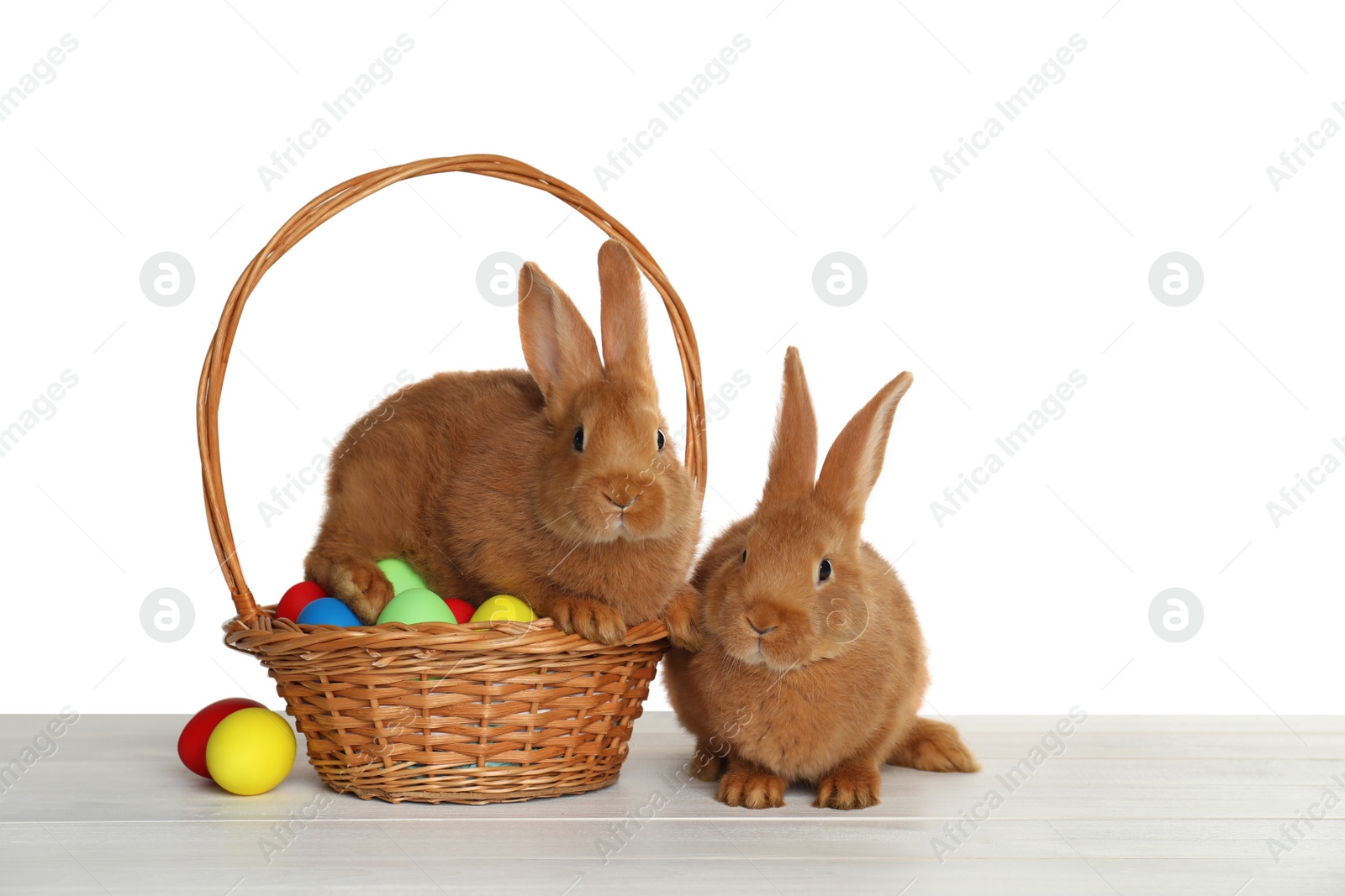 Photo of Cute bunnies and basket with Easter eggs on table against white background