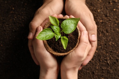 Photo of Man and woman holding pot with seedling on soil, top view