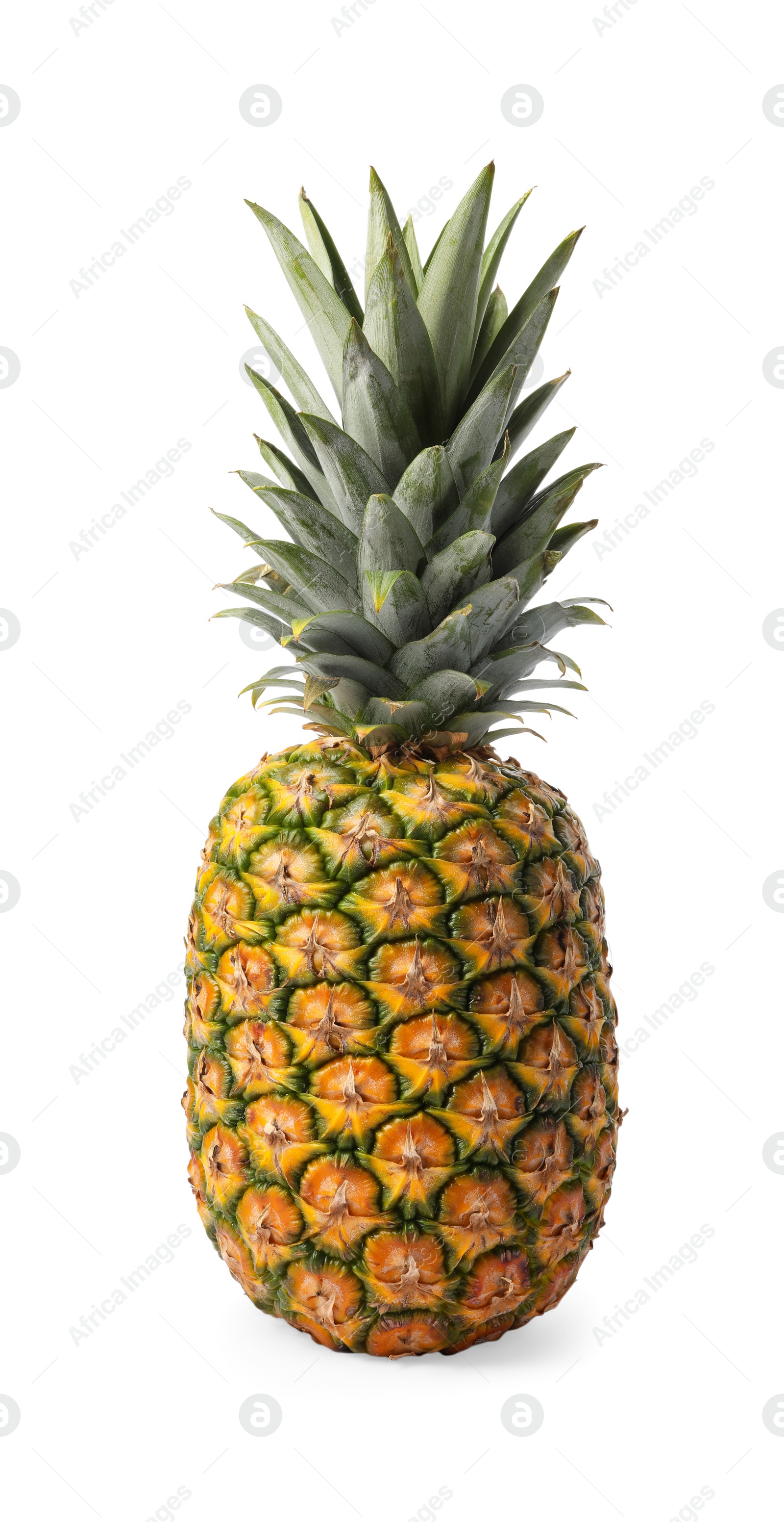 Photo of Tasty whole pineapple with leaves on white background