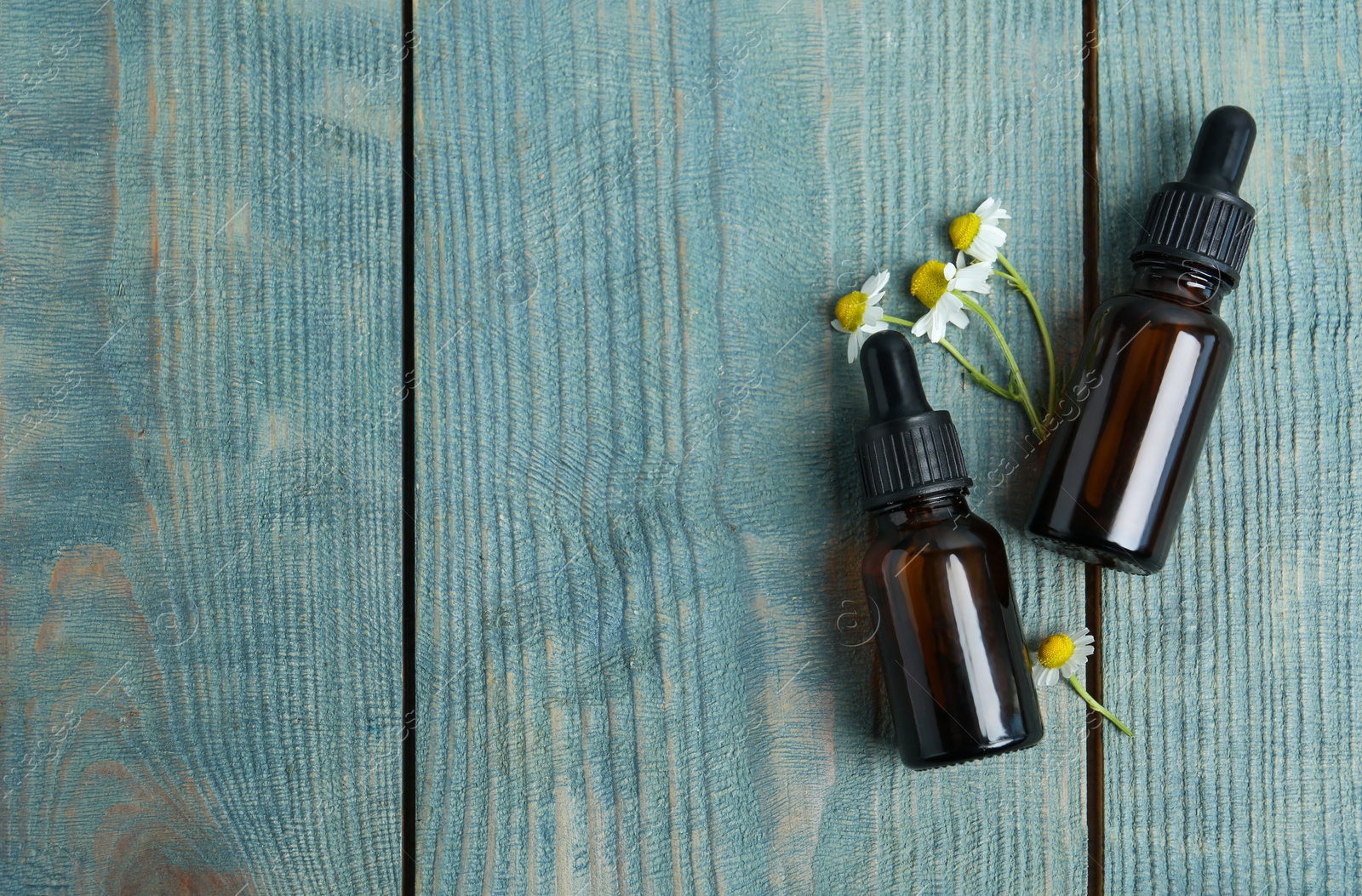 Photo of Bottles of essential oil and chamomiles on blue wooden background, flat lay. Space for text