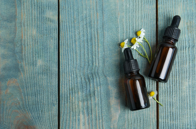 Bottles of essential oil and chamomiles on blue wooden background, flat lay. Space for text