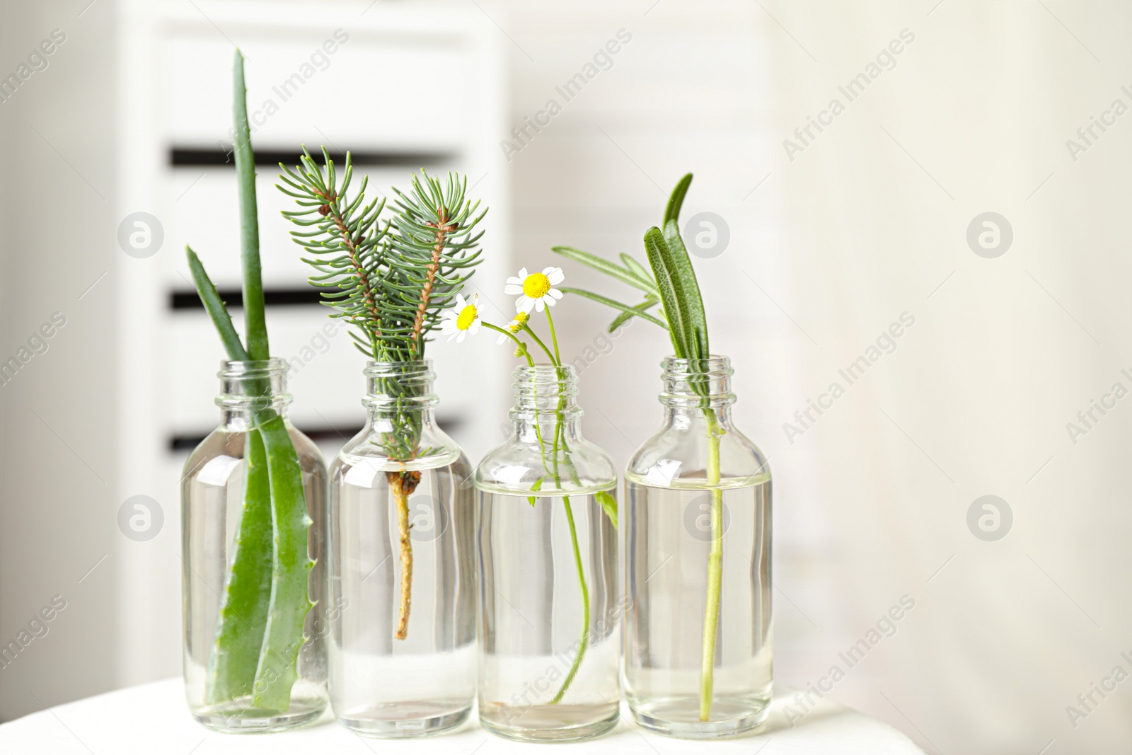 Photo of Glass bottles of different essential oils with plants on table