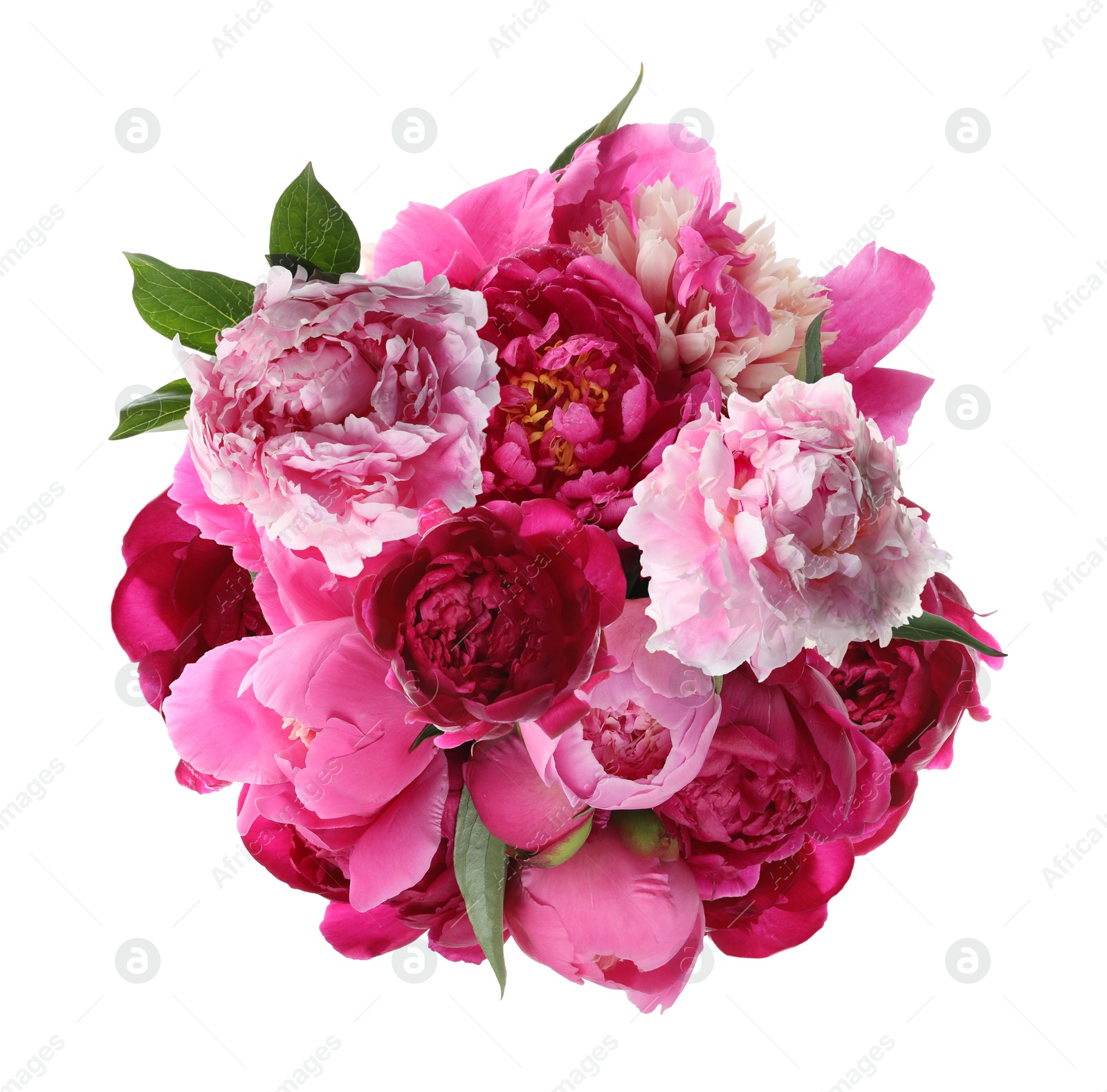 Image of Beautiful peony flower bouquet on white background