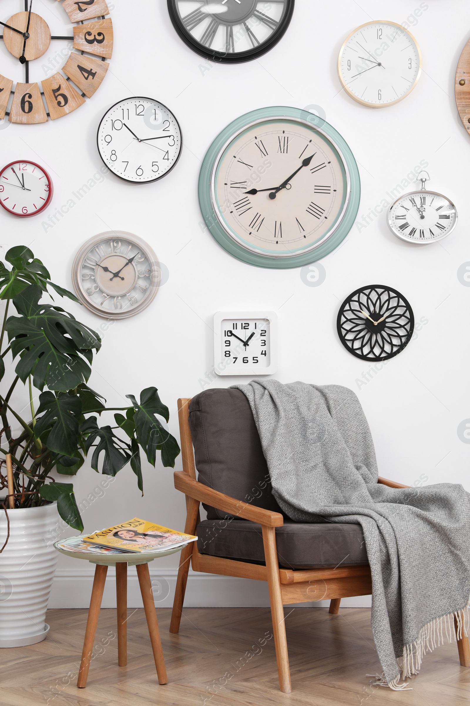 Photo of Comfortable furniture, beautiful houseplant and collection of different clocks on white wall in room