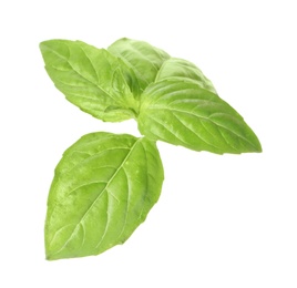 Photo of Fresh green basil leaves on white background