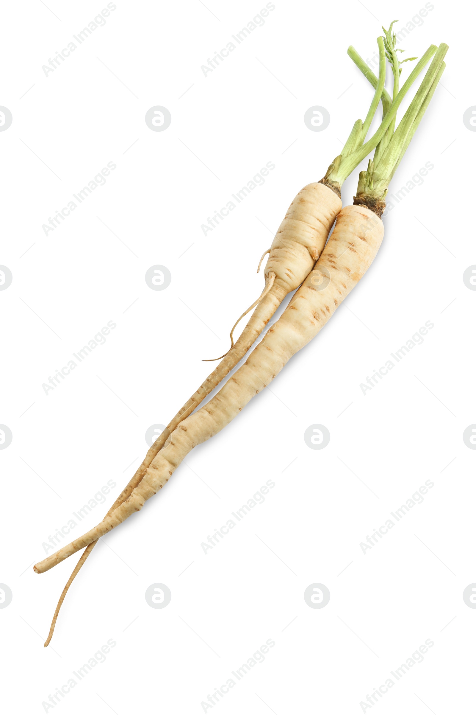 Photo of Tasty fresh ripe parsnips on white background, top view