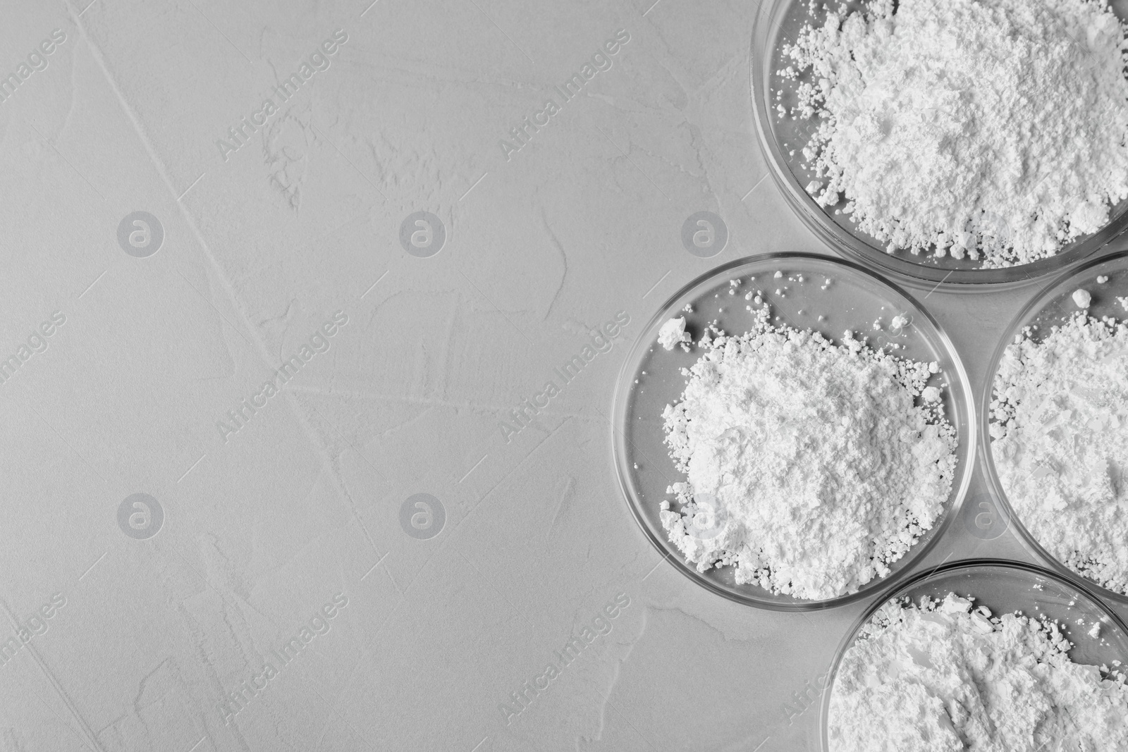 Photo of Petri dishes with calcium carbonate powder on grey table, flat lay. Space for text