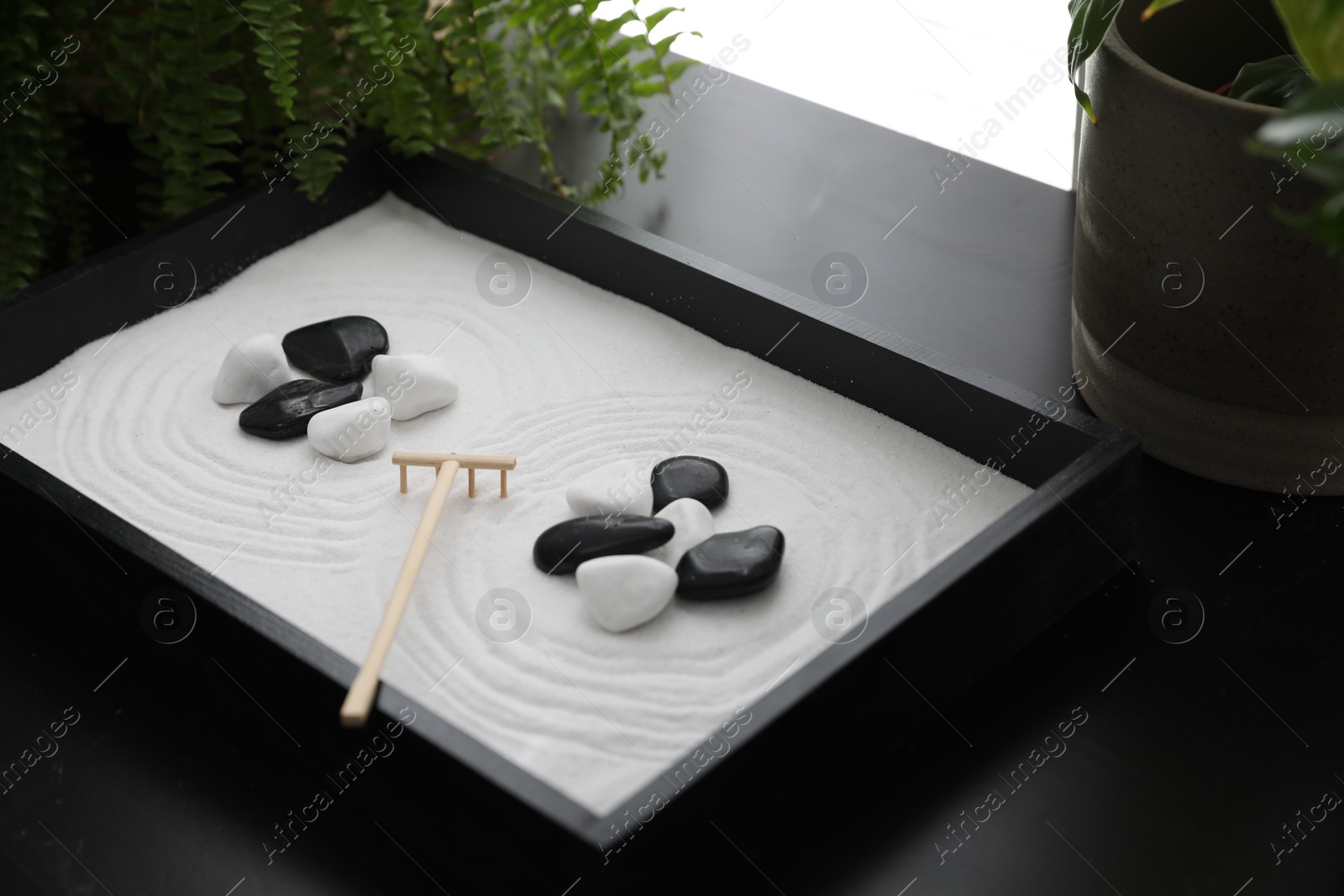 Photo of Beautiful miniature zen garden on black table indoors, closeup