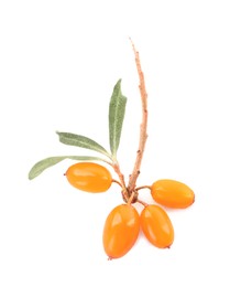 Photo of Twig with fresh ripe sea buckthorn berries and leaves on white background, top view