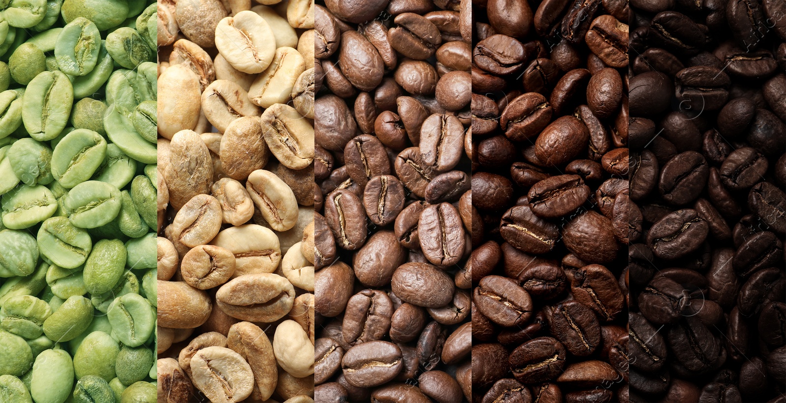 Image of Stages of roasting coffee beans, collage. Banner design