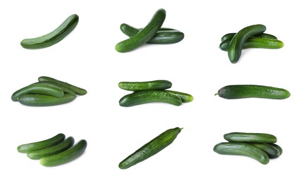 Image of Set with whole ripe cucumbers on white background