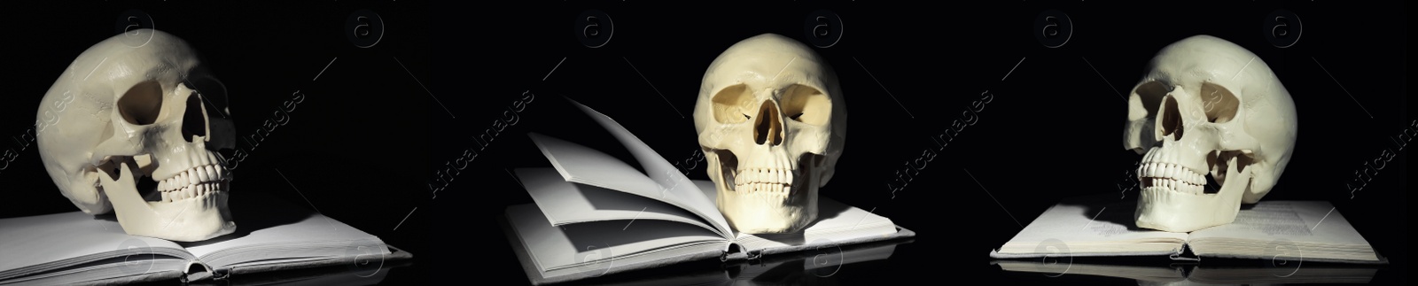 Image of Set with human skulls and books on black background. Banner design