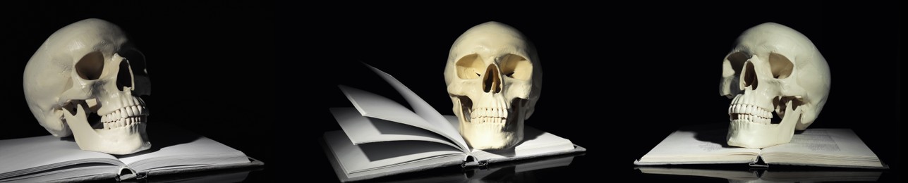 Set with human skulls and books on black background. Banner design