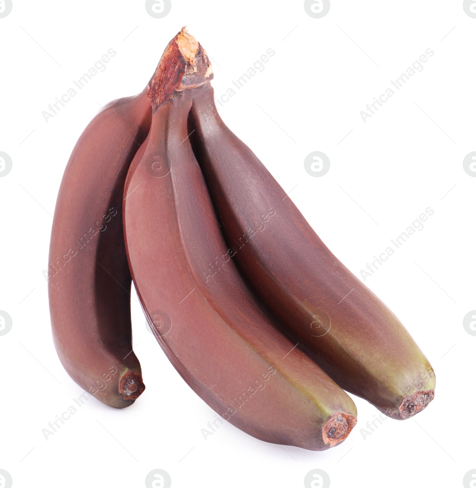 Photo of Delicious red baby bananas on white background