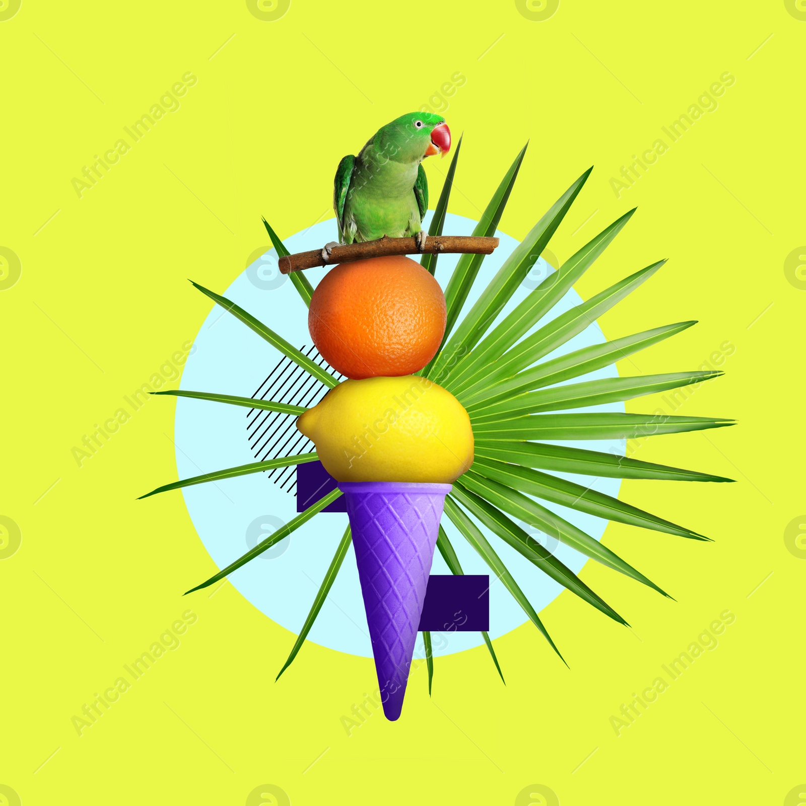 Image of Ice cream cone with lemon, orange and parrot on colorful background. Summer concept. Bright creative design