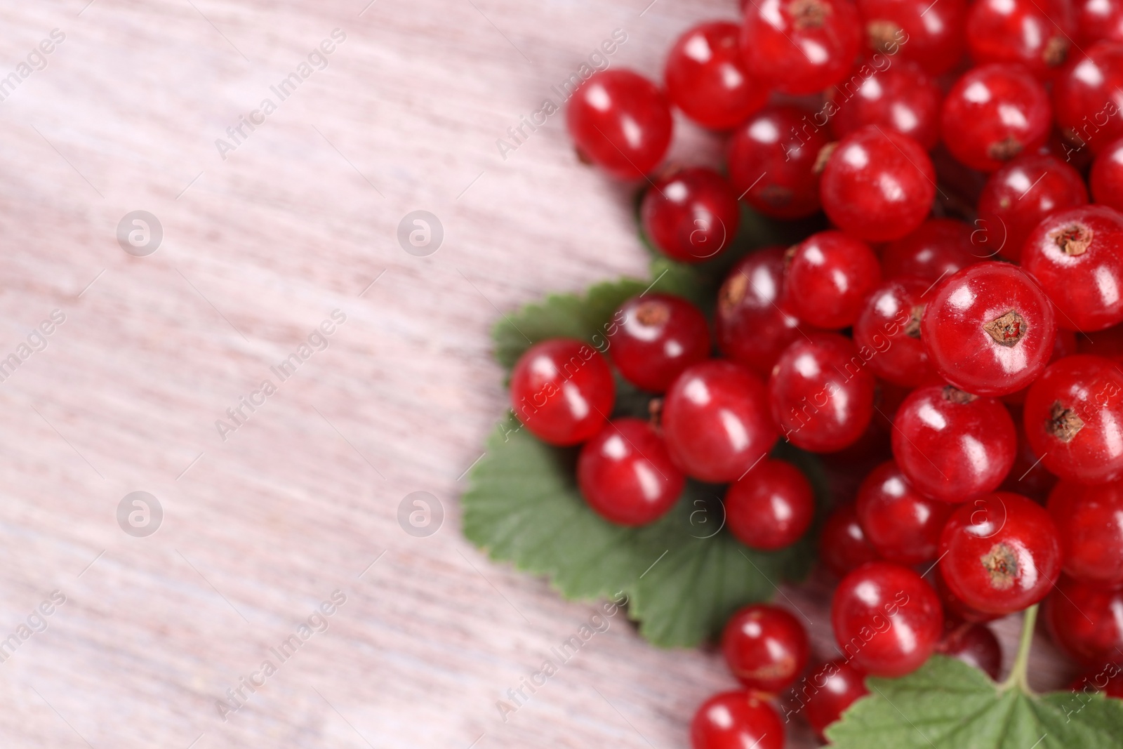 Photo of Ripe red currants on light table, closeup. Space for text