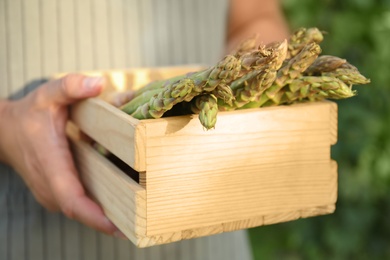 Photo of Man holding wooden crate with fresh raw asparagus outdoors, closeup