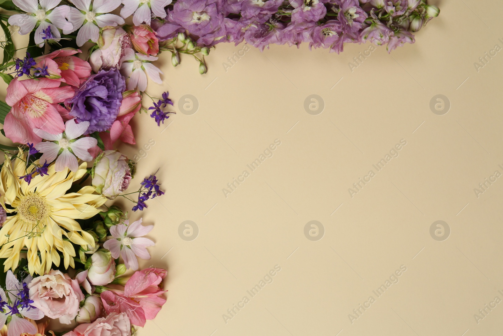 Photo of Flat lay composition with different beautiful flowers on beige background, space for text