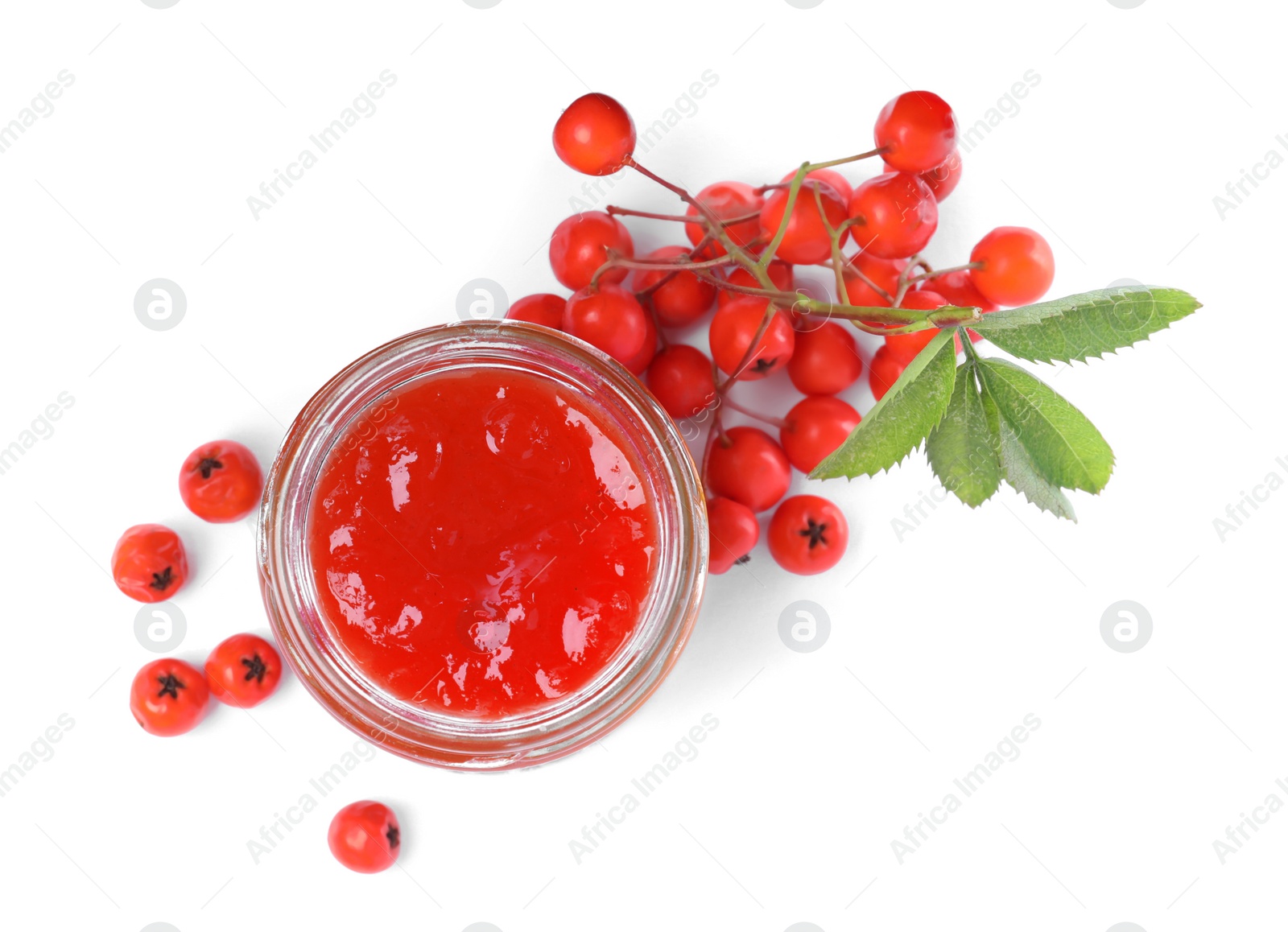 Photo of Delicious rowan jam in glass jar and berries on white background, top view