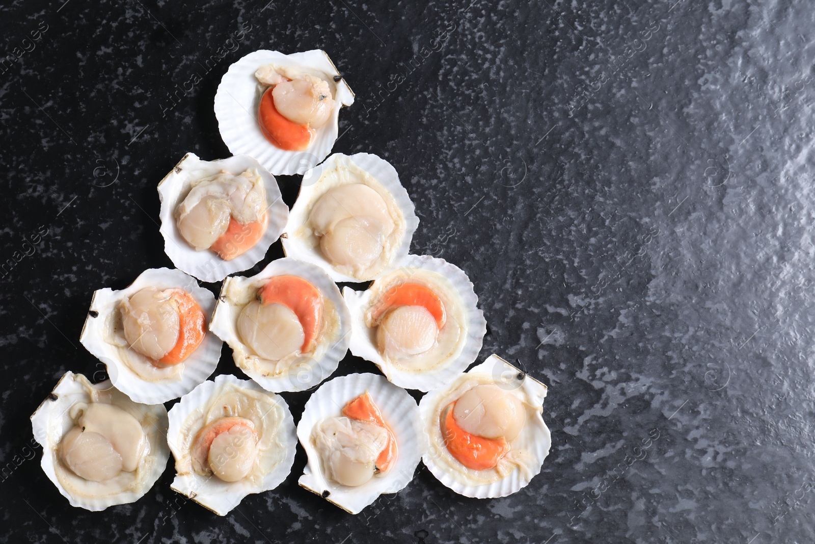 Photo of Fresh raw scallops with shells on black textured table, flat lay. Space for text