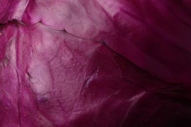 Fresh ripe red cabbage as background, closeup