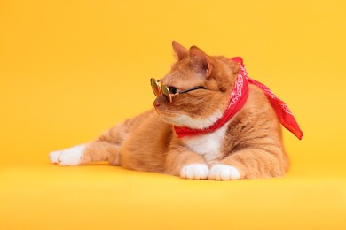 Cute ginger cat in stylish sunglasses and bandana on yellow background