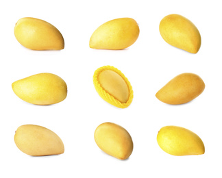 Set of delicious mangoes on white background