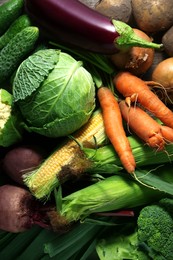 Different fresh ripe vegetables as background, top view. Farmer produce