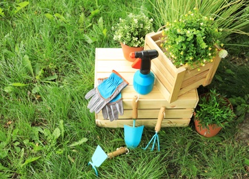 Photo of Composition with gardening tools on green grass