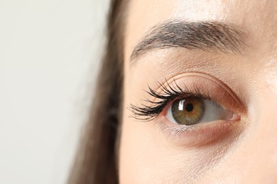 Macro photo of woman with beautiful eyes on light background. Space for text