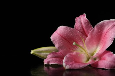 Photo of Beautiful pink lily flower with water drops on black background, closeup. Space for text