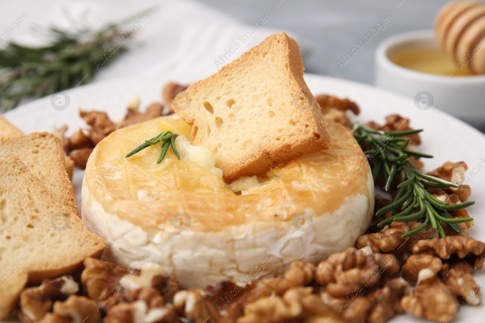 Photo of Tasty baked camembert, croutons, walnuts and rosemary on table, closeup