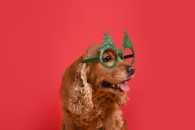Adorable Cocker Spaniel dog in party glasses on red background