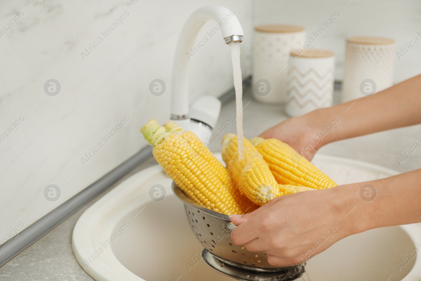 Photo of Woman washing corn ears in kitchen sink, focus on hands