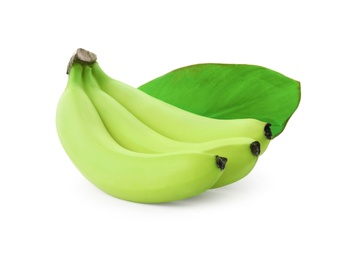 Cluster of green bananas on white background