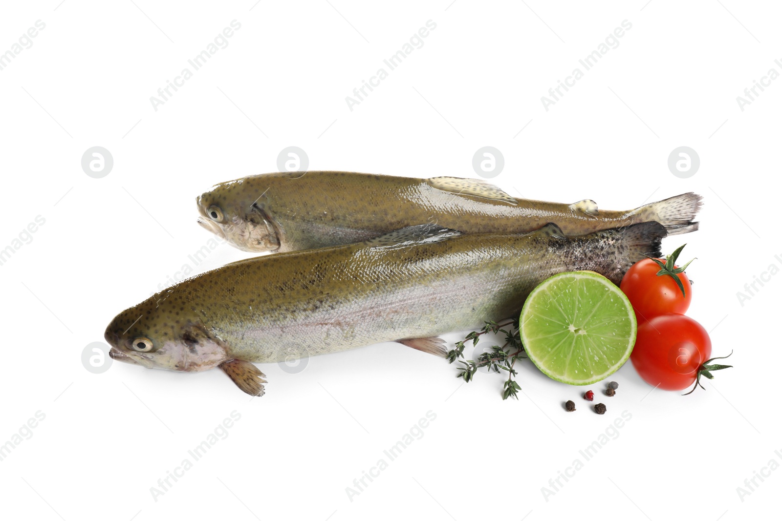 Photo of Raw cutthroat trout fish with cherry tomatoes, lime and spices isolated on white