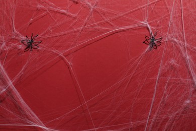 Cobweb and spiders on red background, top view
