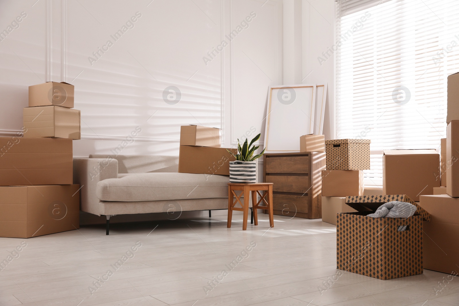 Photo of Furniture and cardboard boxes with packed stuff in room. Moving day