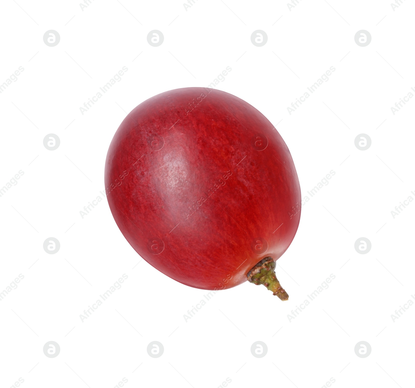 Photo of One ripe red grape isolated on white