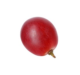 Photo of One ripe red grape isolated on white