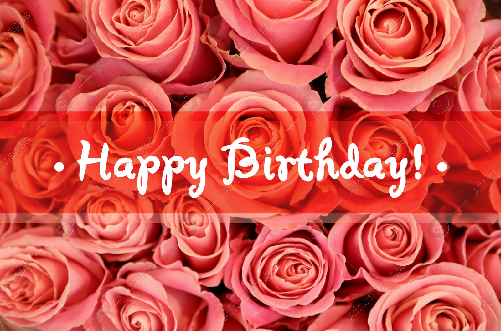 Image of Happy Birthday! Beautiful roses as background, top view 